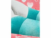 Deborah paauwe - kleurenlithografie - afbeelding 5 van  6