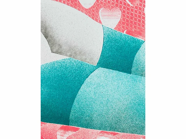 Deborah paauwe - kleurenlithografie - afbeelding 5 van  6