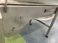 Deca sealingband verpakkingsmachines met uitvoerband 2005 - afbeelding 31 van  48