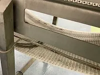 Deca sealingband verpakkingsmachines met uitvoerband 2005 - afbeelding 33 van  48
