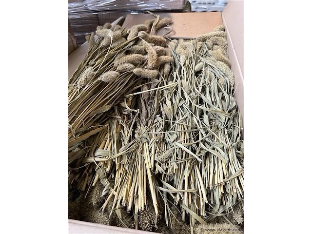Decoratie bos naturel - afbeelding 1 van  4