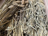 Decoratie bos naturel - afbeelding 1 van  4