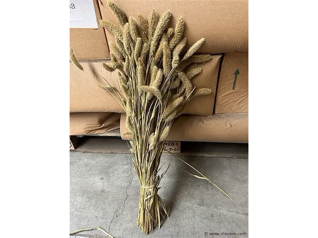 Decoratie bos naturel - afbeelding 2 van  4