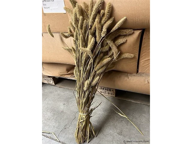 Decoratie bos naturel - afbeelding 3 van  4