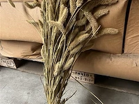 Decoratie bos naturel - afbeelding 3 van  4