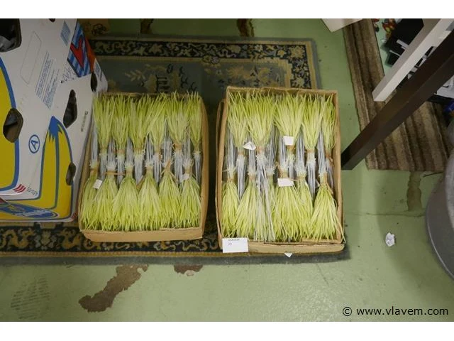 Decoratie materiaal - afbeelding 1 van  1