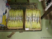 Decoratie materiaal - afbeelding 1 van  1