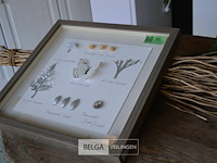 Decoratie materiaal - afbeelding 2 van  3