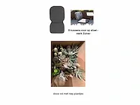 Decoratie wandspiegels, klokken, stoelkussens, decoratieplantjes en decoratie items dutchbone - zuiver. - afbeelding 1 van  3