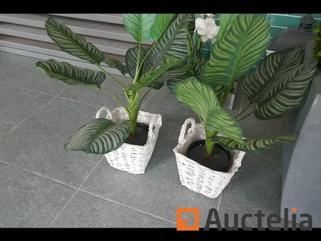 Decoratie - afbeelding 1 van  5