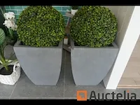 Decoratie - afbeelding 5 van  5