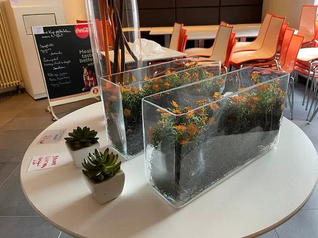 Decoratie - afbeelding 1 van  2