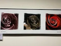Decoratie
