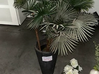 Decoratie - afbeelding 2 van  4