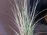 Decoratie - afbeelding 2 van  5