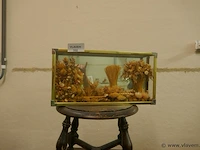 Decoratie - afbeelding 1 van  1