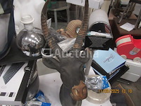 Decoratief aardewerk antilopenhoofd - afbeelding 1 van  4