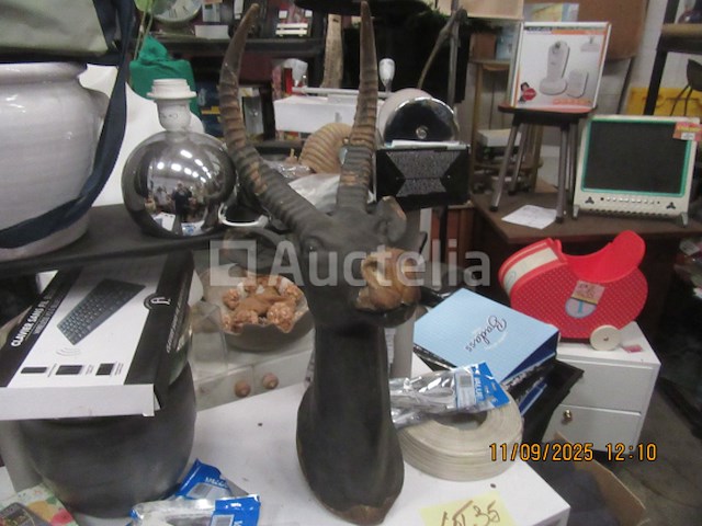 Decoratief aardewerk antilopenhoofd - afbeelding 2 van  4