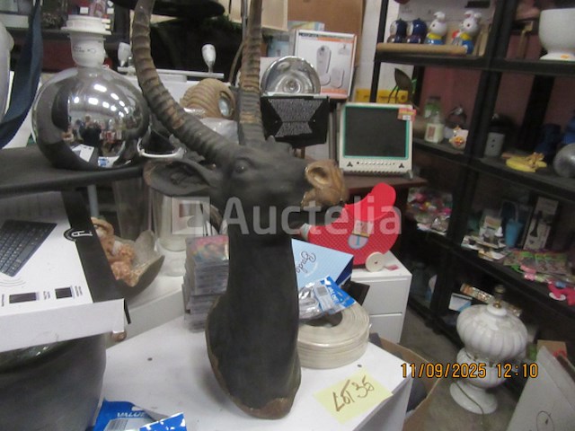 Decoratief aardewerk antilopenhoofd - afbeelding 3 van  4