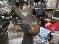 Decoratief aardewerk antilopenhoofd - afbeelding 4 van  4