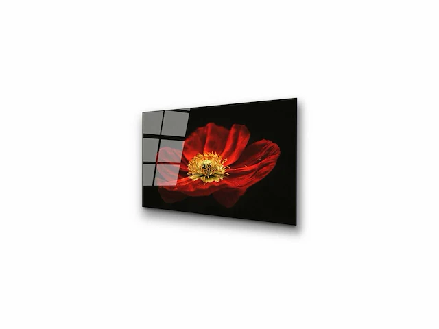 Decoratief schilderij op gehard glas - veelkleurig - 70 x 100 cm - afbeelding 10 van  12
