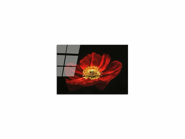 Decoratief schilderij op gehard glas - veelkleurig - 70 x 100 cm - afbeelding 3 van  12