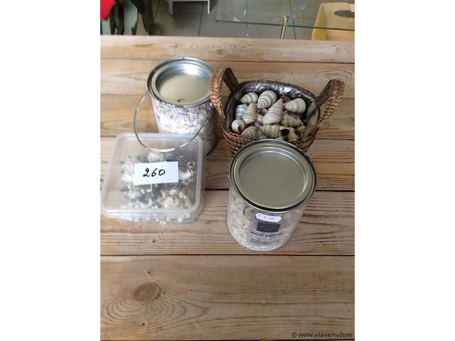 Decoratiemateriaal schelpen - afbeelding 1 van  3