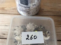 Decoratiemateriaal schelpen - afbeelding 2 van  3