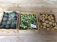 Decoratiemateriaal - afbeelding 1 van  3