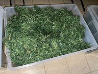 Decoratiemateriaal - afbeelding 12 van  18