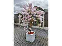 Decoratieve boom in design bloempot - afbeelding 2 van  6