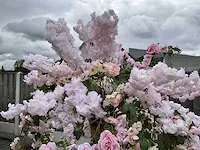 Decoratieve boom in design bloempot - afbeelding 3 van  6