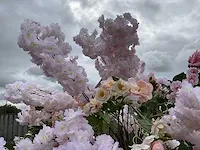 Decoratieve boom in design bloempot - afbeelding 5 van  6