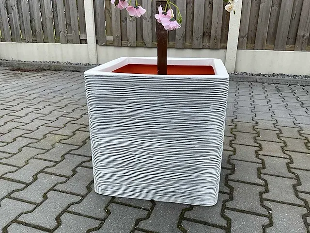 Decoratieve boom in design bloempot - afbeelding 6 van  6