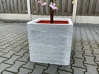 Decoratieve boom in design bloempot - afbeelding 6 van  6