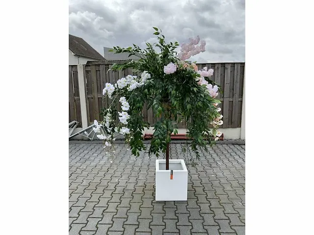 Decoratieve boom in design bloempot - afbeelding 1 van  5