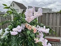 Decoratieve boom in design bloempot - afbeelding 2 van  5