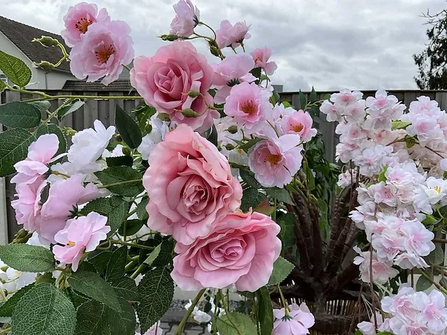 Decoratieve boom in design bloempot - afbeelding 3 van  5