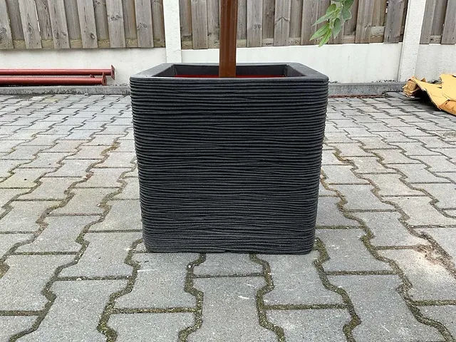 Decoratieve boom in design bloempot - afbeelding 5 van  5