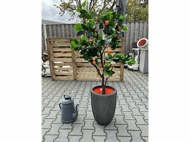 Decoratieve boom in design bloempot - afbeelding 1 van  4
