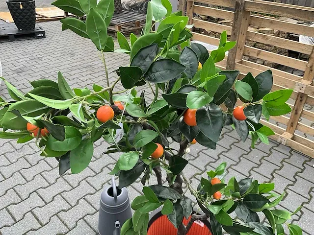 Decoratieve boom in design bloempot - afbeelding 2 van  4