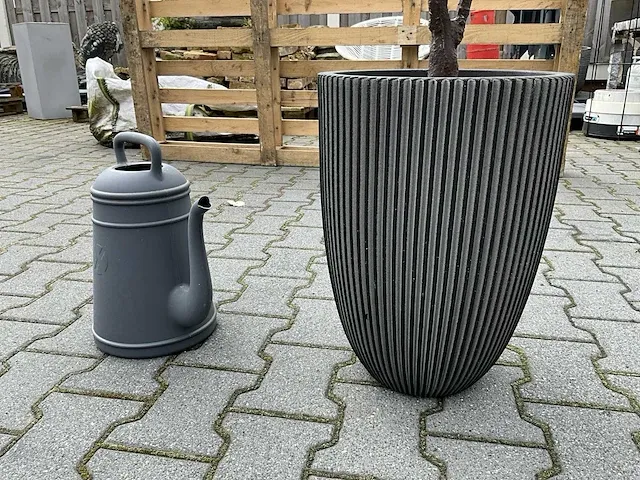Decoratieve boom in design bloempot - afbeelding 3 van  4