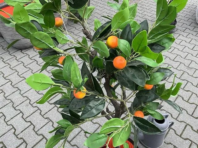 Decoratieve boom in design bloempot - afbeelding 4 van  4