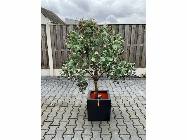 Decoratieve boom in design bloempot - afbeelding 1 van  4