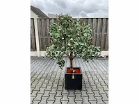 Decoratieve boom in design bloempot - afbeelding 1 van  4