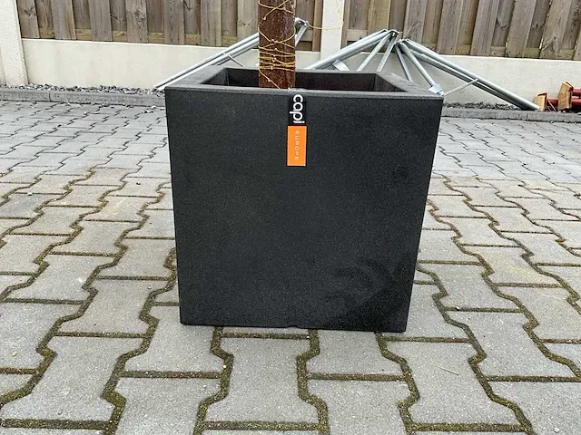 Decoratieve boom in design bloempot - afbeelding 4 van  4