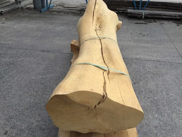 Decoratieve boomstam - afbeelding 4 van  8