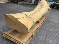 Decoratieve boomstam - afbeelding 5 van  8