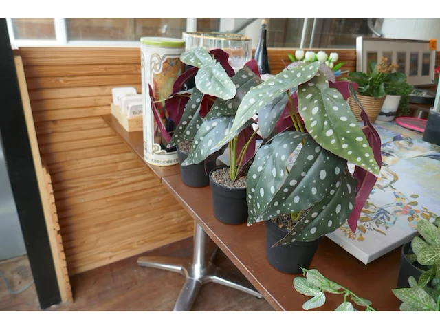 Decoratieve items en dergelijken - afbeelding 5 van  10