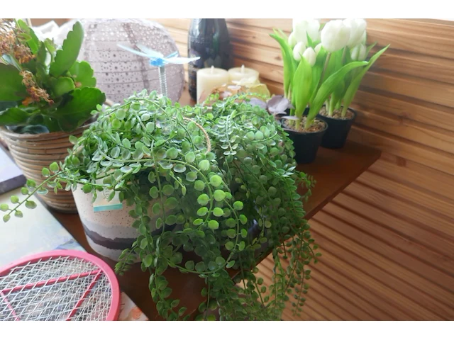 Decoratieve items en dergelijken - afbeelding 9 van  10